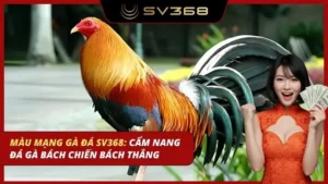 màu mạng gà đá sv368