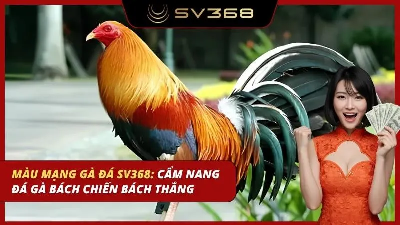 màu mạng gà đá sv368
