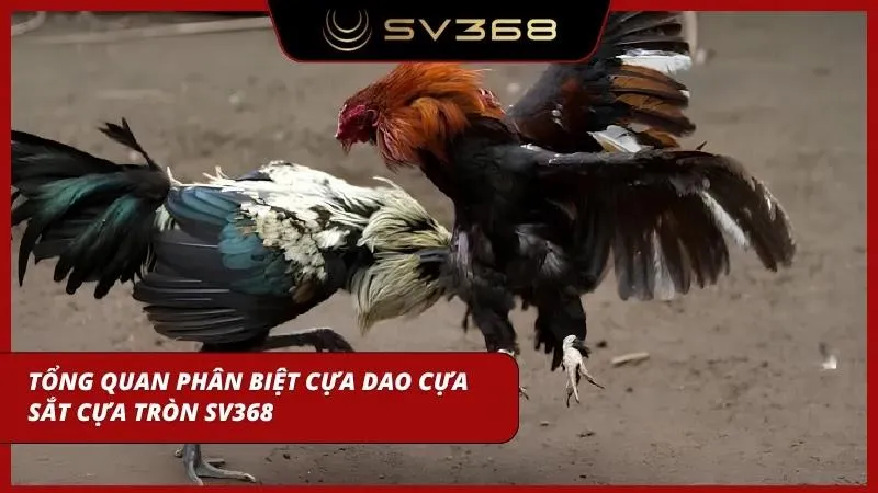 Người chơi cần phân biệt chính xác các loại vũ khí để đánh giá chuẩn thực lực chiến kê