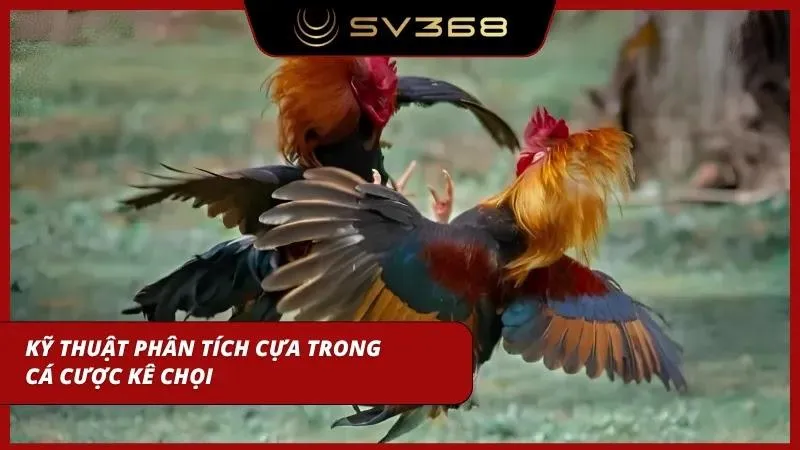 Phân tích kỹ thuật sử dụng cựa giúp cược thủ tối ưu hóa xác suất thắng cược cao nhất