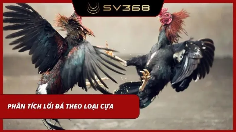 Việc áp dụng kiến thức phân biệt vũ khí giúp bạn đạt được chiến thắng lớn tại sảnh