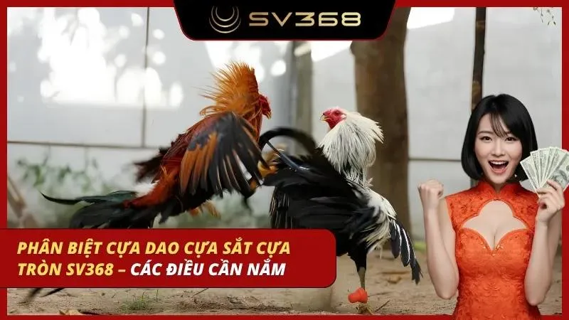 phân biệt cựa dao cựa sắt cựa tròn sv368