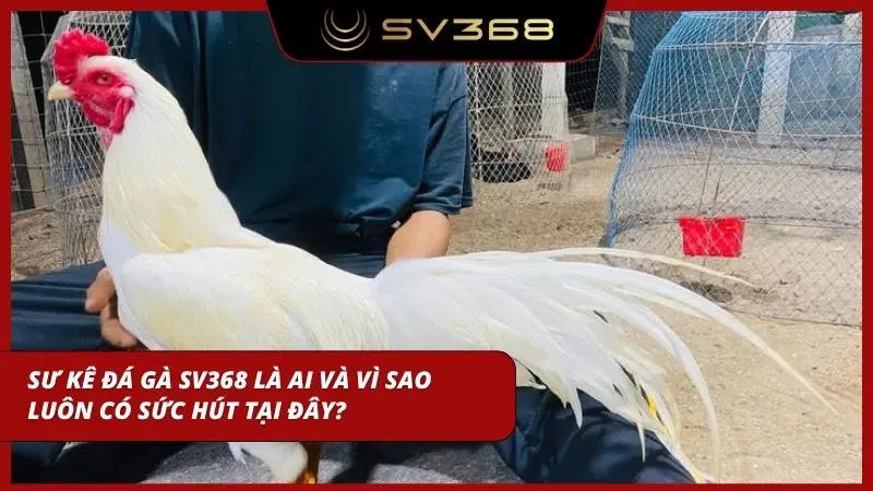Tổng quanh nhanh những vị kiến trúc sư tại đây
