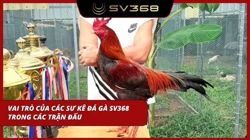 Vai trò của những vị thuyền trưởng này