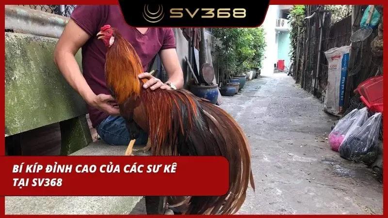 Học lỏm bí kíp từ các vị huynh trưởng