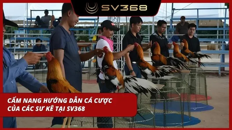 Hướng dẫn đặt cược chuẩn của các tiền bối